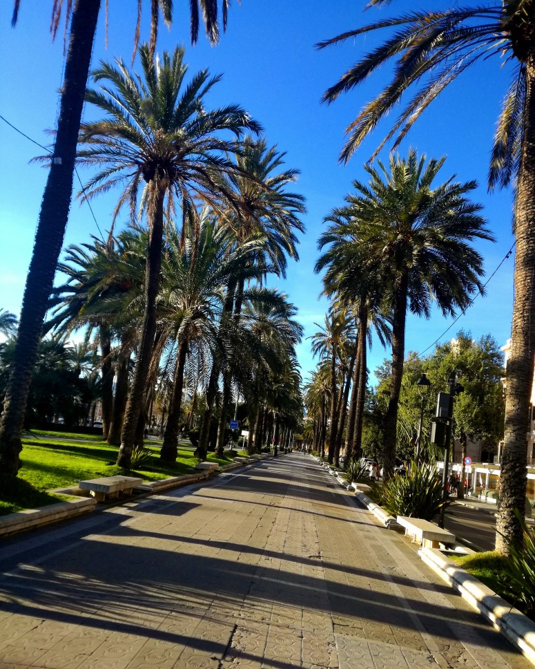 IMG_20180131_180909_572